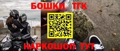 шишки Гай