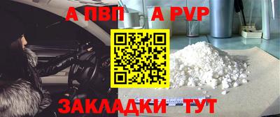 шишки Гай
