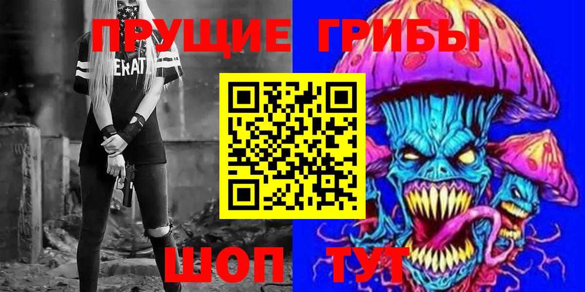 Псилоцибиновые грибы Cubensis Моздок