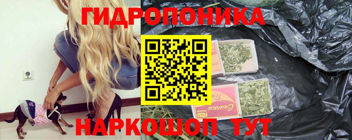 Каннабис конопля Моздок